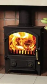 Wood burning stove